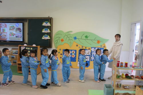 區(qū)中心幼兒園里可愛的小寶貝