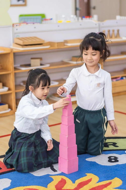 天津住這兒的有福了 這家國際化幼兒園正式開放 每個孩子還獎勵10000元