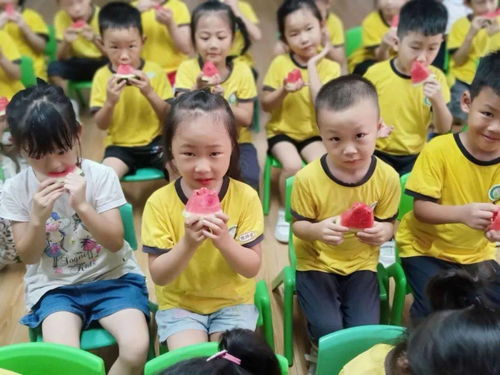 美食每刻的守護——長安愛迪幼兒園食品安全宣傳周紀實